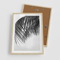 Plakat w ramie 50x70 - Czarno-Biały Kontrast - czarno białe zdjecie, palma - rama drewno