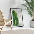 Plakat bez ramy 50x70 - Minimalistyczne Kaktusy na Białym Tle - kaktusy, minimalistyczna fotografia