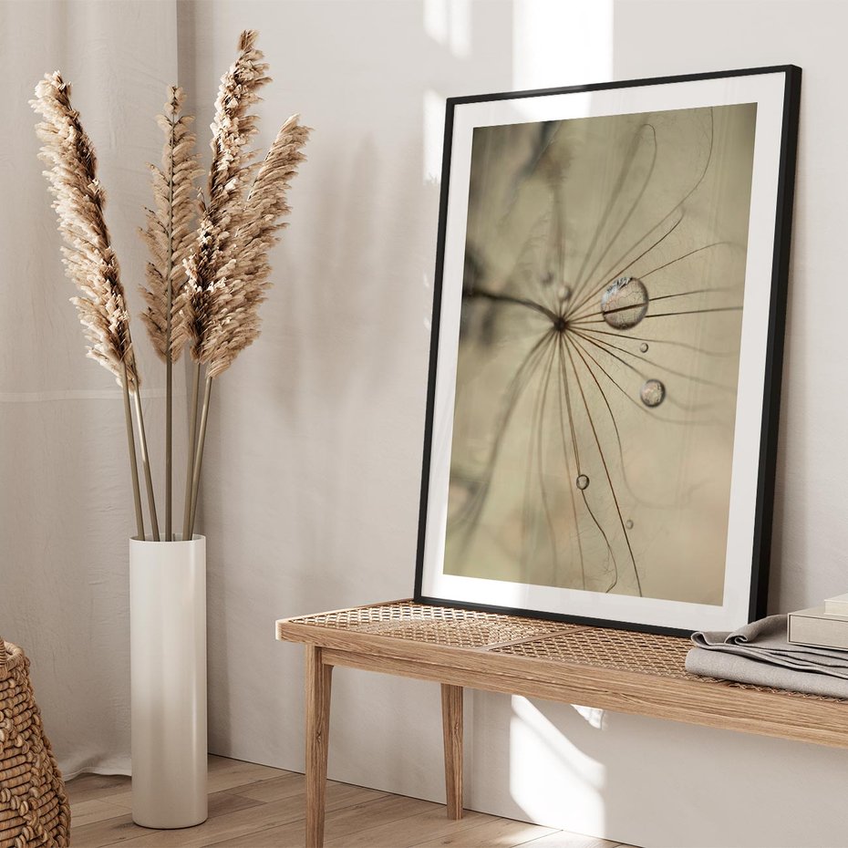 Plakat bez ramy 21x30 - Delikatność dmuchawców - dmuchawce, krople