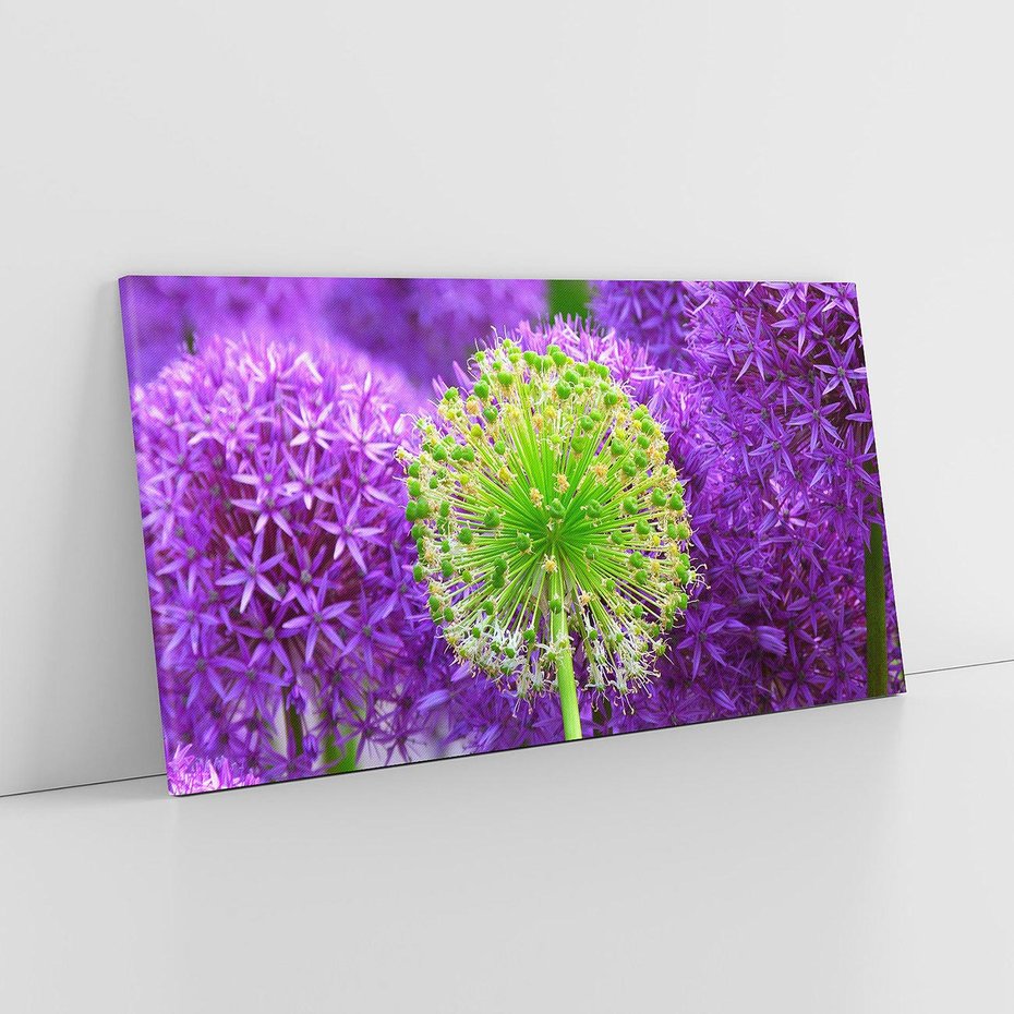 Obraz na płótnie 120x60 - Kwiatowy Raj - kwiat, kwiaty