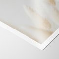 Plakat bez ramy 30x40 - Biały Spokój - białe trawy, suche trawy pampas