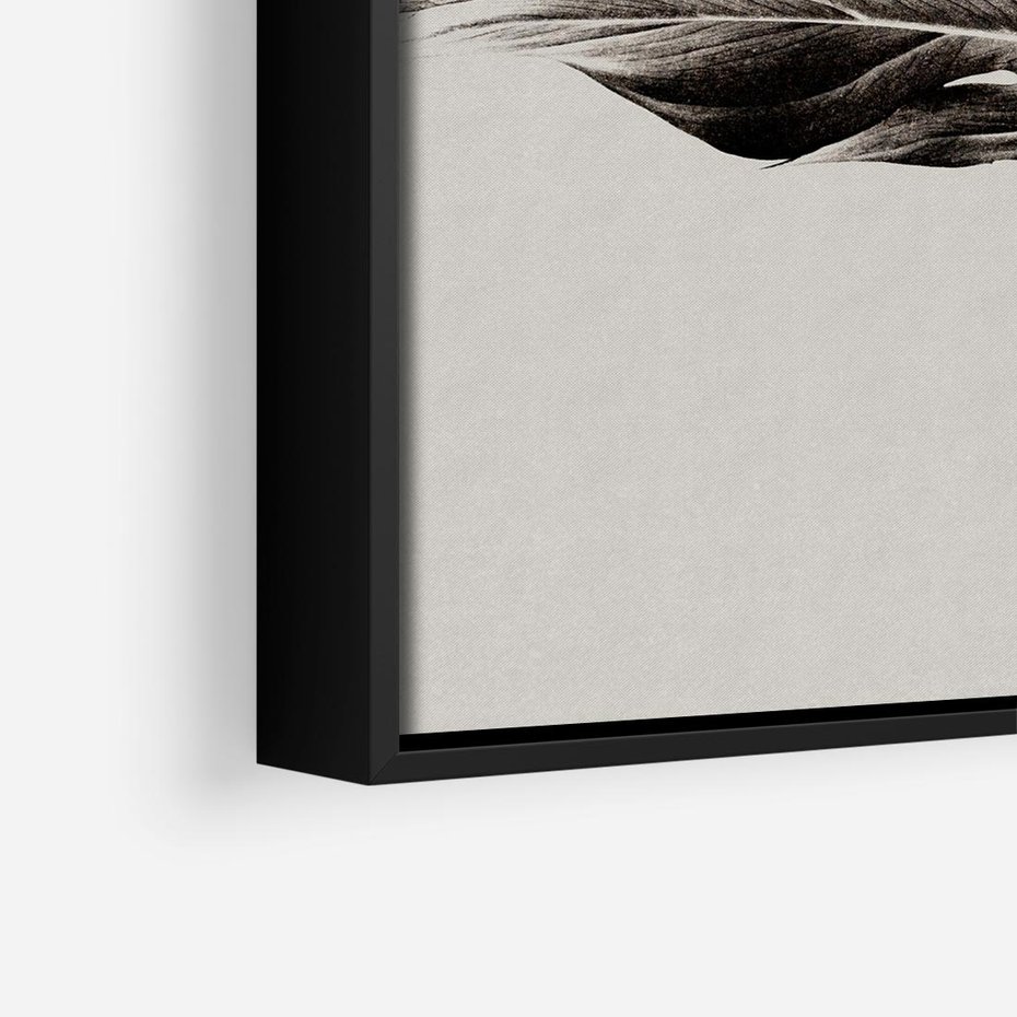 Obraz w ramie 50x50 - Szepczący Liść - szkic, czarno biały - rama czarna
