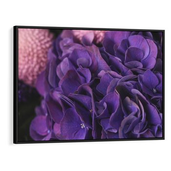 Obraz w ramie 100x70 - Fioletowa hortensja - kwiaty, hortensja - rama czarna
