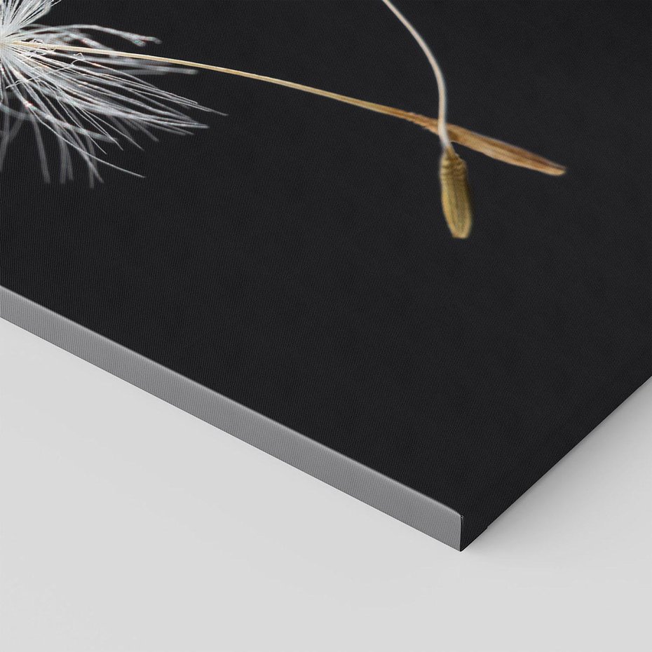 Obraz na płótnie 80x120 - Delikatność Wiatru - dmuchawce, makro