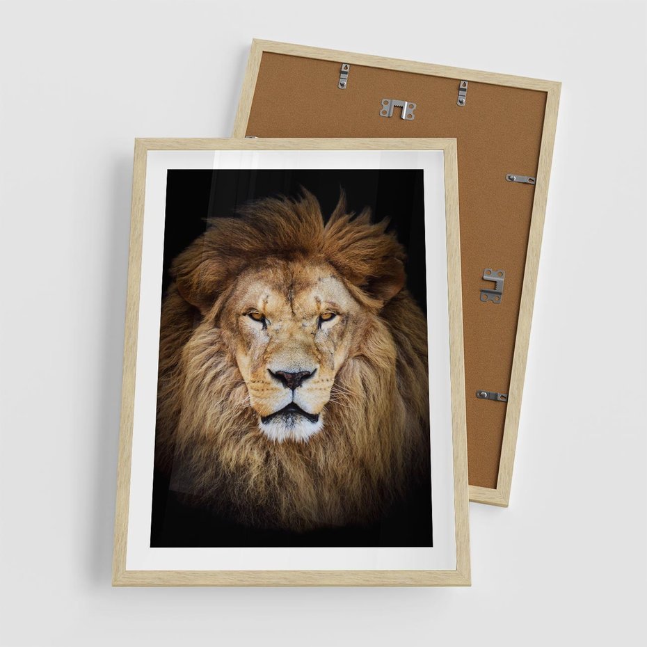 Plakat w ramie 50x70 - Król zwierząt w majestatycznym stylu - lew, król - rama drewno