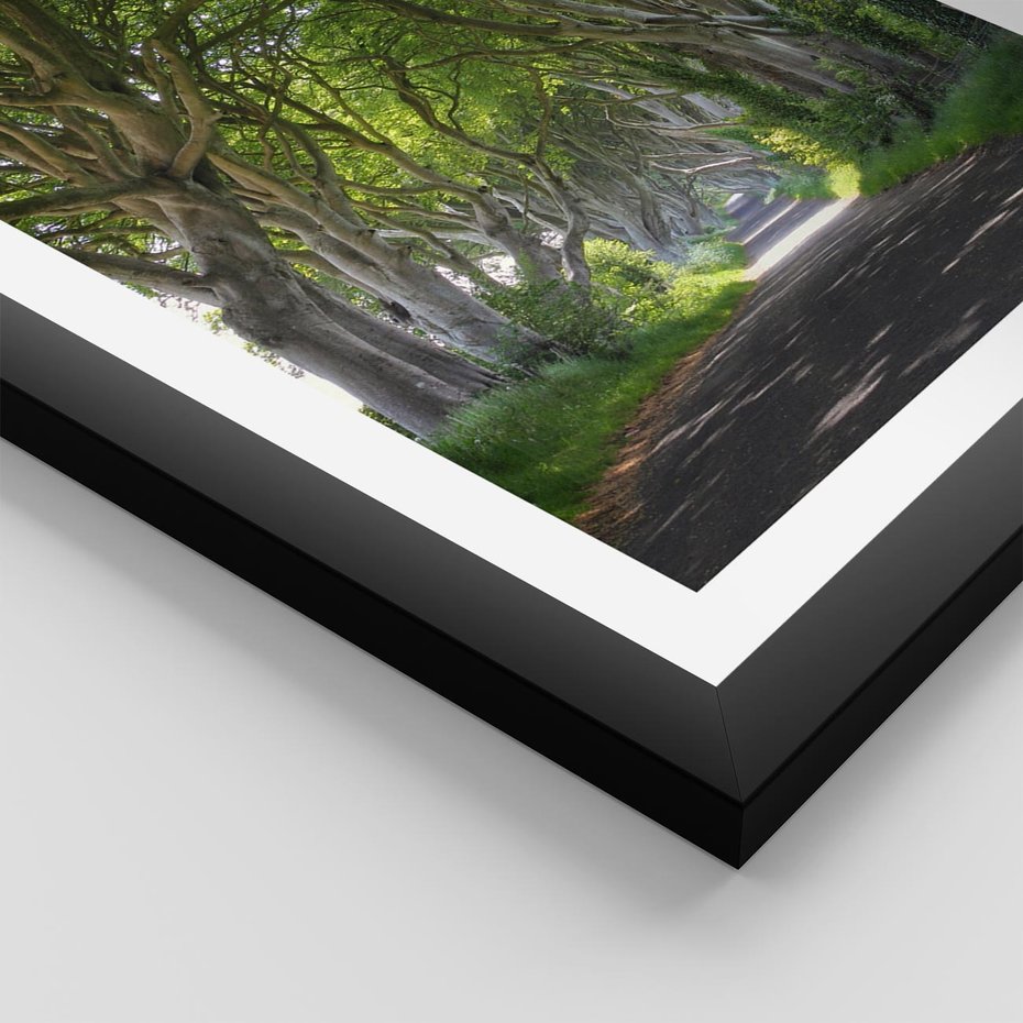 Plakat w ramie 30x40 - Magiczny Las - drzewa, las - rama czarna