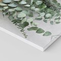 Obraz na płótnie 40x40 - Uwodzicielska zieleń eukaliptusa - eukaliptus, zielone