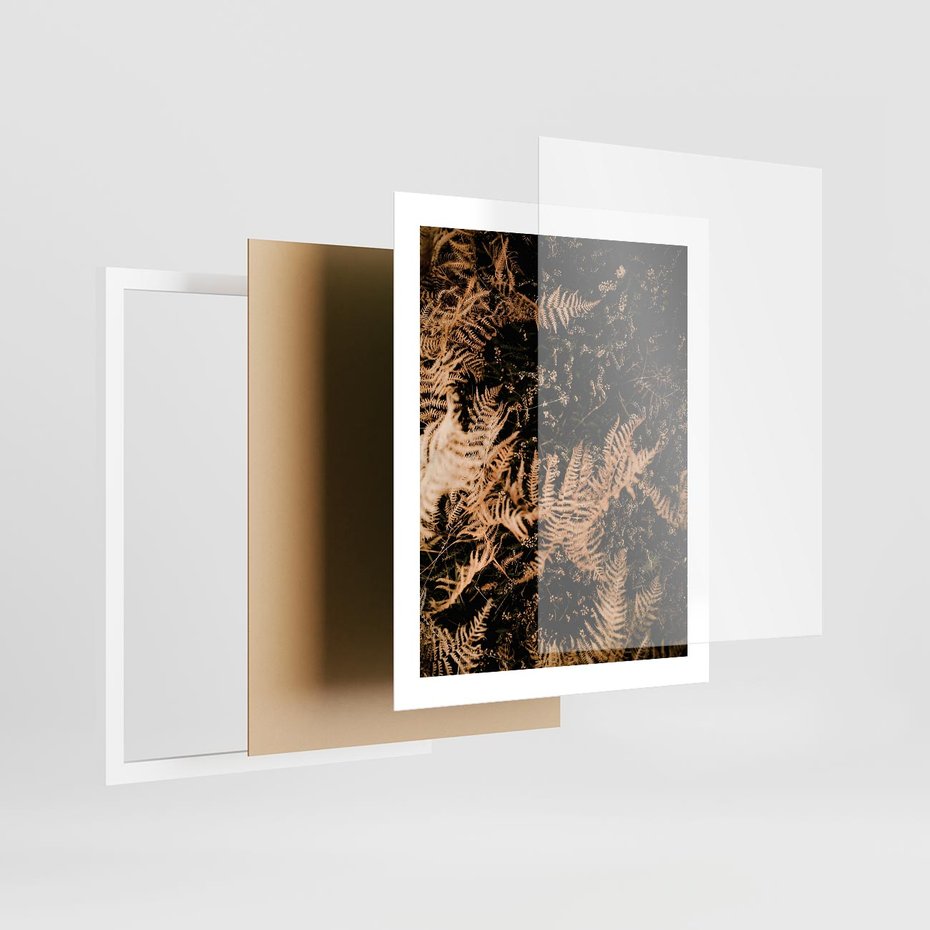 Plakat w ramie 40x50 - Jesienne Paprocie: Kolorowa Paleta Natury - paprocie, jesień - rama biała