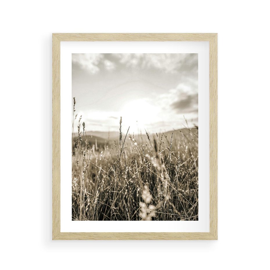 Plakat w ramie 40x50 - Łąka w Klimacie Sepii - suche trawy, łąka - rama drewno