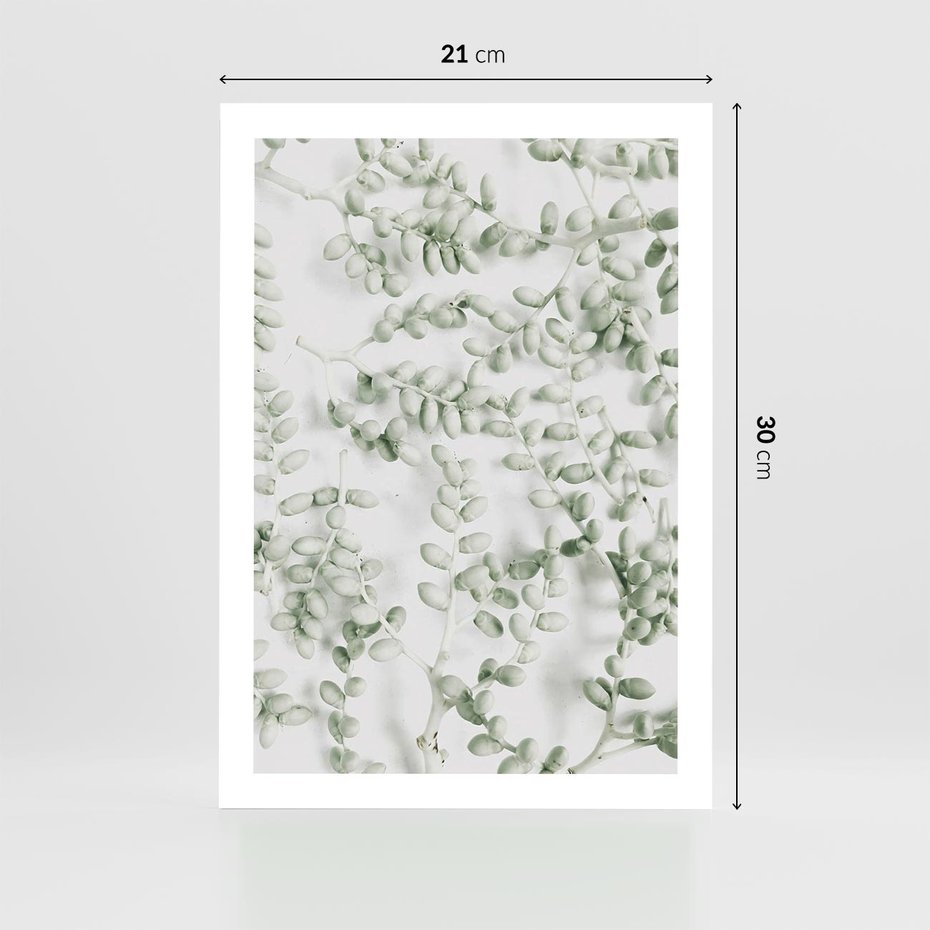 Plakat bez ramy 21x30 - Delikatność Zieleni - zielone gałązki, listki