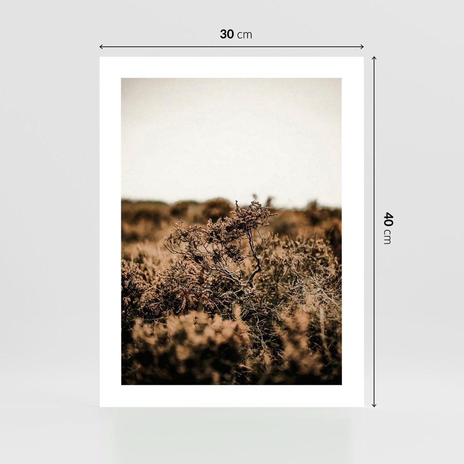 Plakat bez ramy 30x40 - Krajobraz W Naturze: Beże i Brązy - suche krzewy, natura