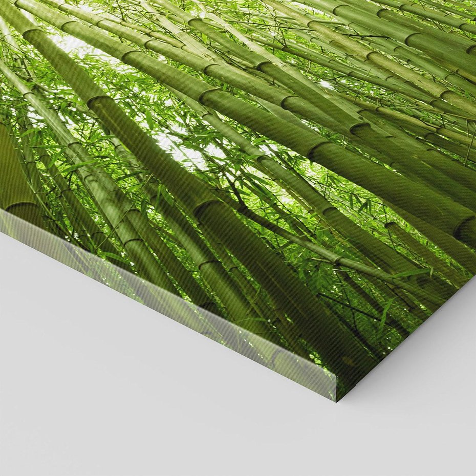 Obraz na płótnie 70x70 - Siła Natury - drzewa, las