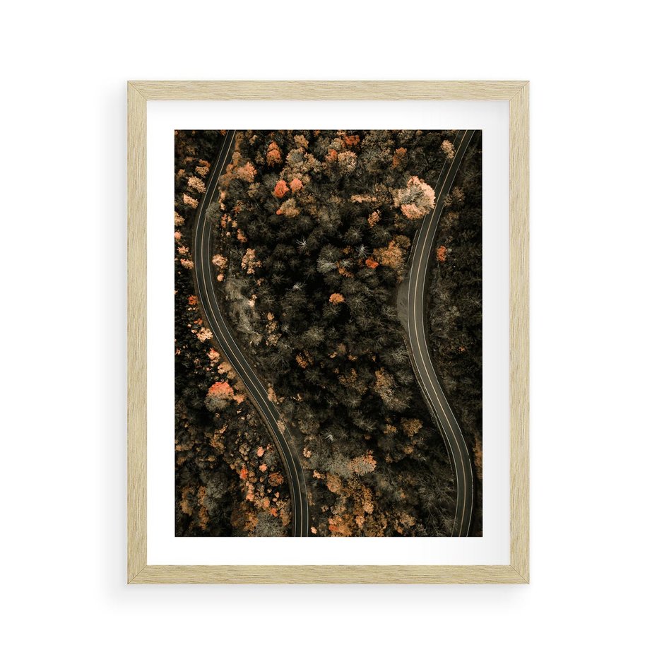 Plakat w ramie 40x50 - Las i Droga w Kolorach Jesieni - droga, ujęcie z góry - rama drewno