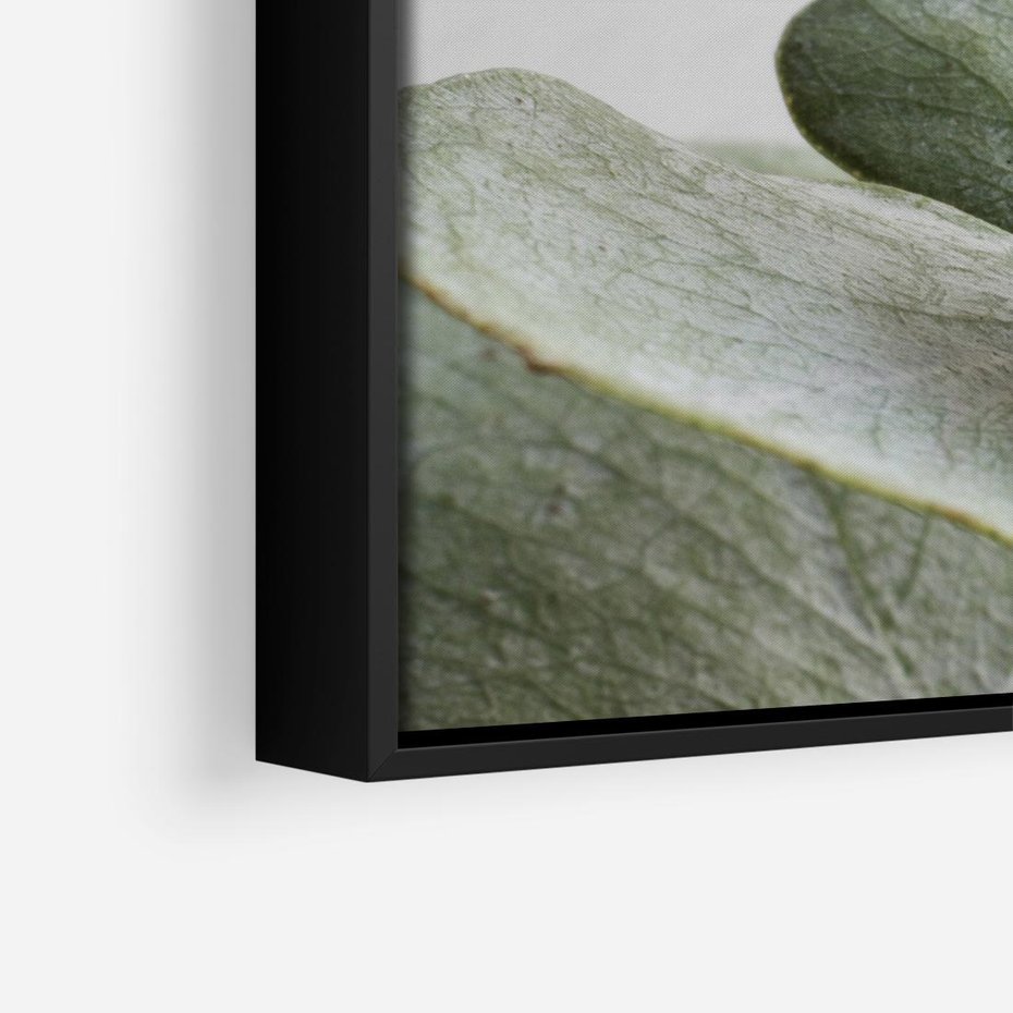 Obraz w ramie 50x50 - Eukaliptusowa zieleń - eukaliptus, zielone - rama czarna
