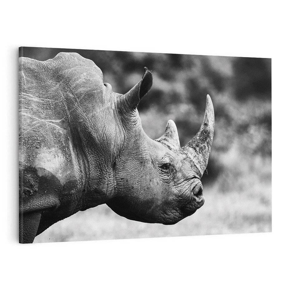 Obraz na płótnie 120x80 - Potęga Afryki - czarno biała fotografia, zbliżenie na postać nosorożca