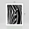 Plakat bez ramy 40x50 - Pasy Zebr - zebra, paski