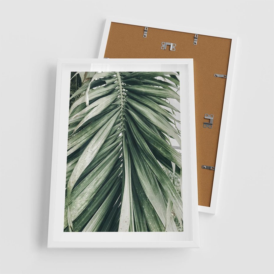 Plakat w ramie 50x70 - Spokojna Piękność Palmowych Liści - palma, liście palmy - rama biała