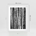 Plakat w ramie 30x40 - Kontrast Monochromatyczny - brzozy, czarno - rama biała