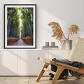 Plakat bez ramy 30x40 - Urokliwa dróżka w lesie - las, dróżka