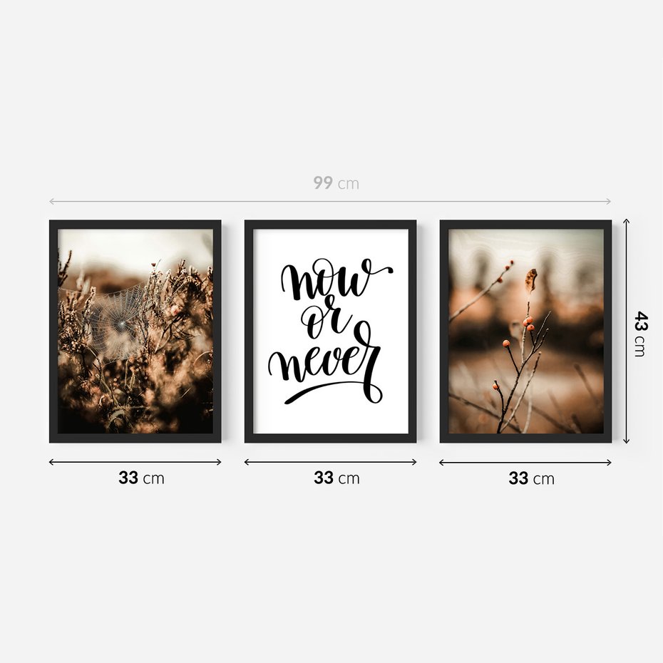 Zestaw obrazy w ramie 30x40 galeria - Boho, cytat, motywacja, trawy - rama czarna