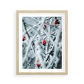 Plakat w ramie 40x50 - Zima na Gałęziach - zima, oszronione gałęzie - rama drewno