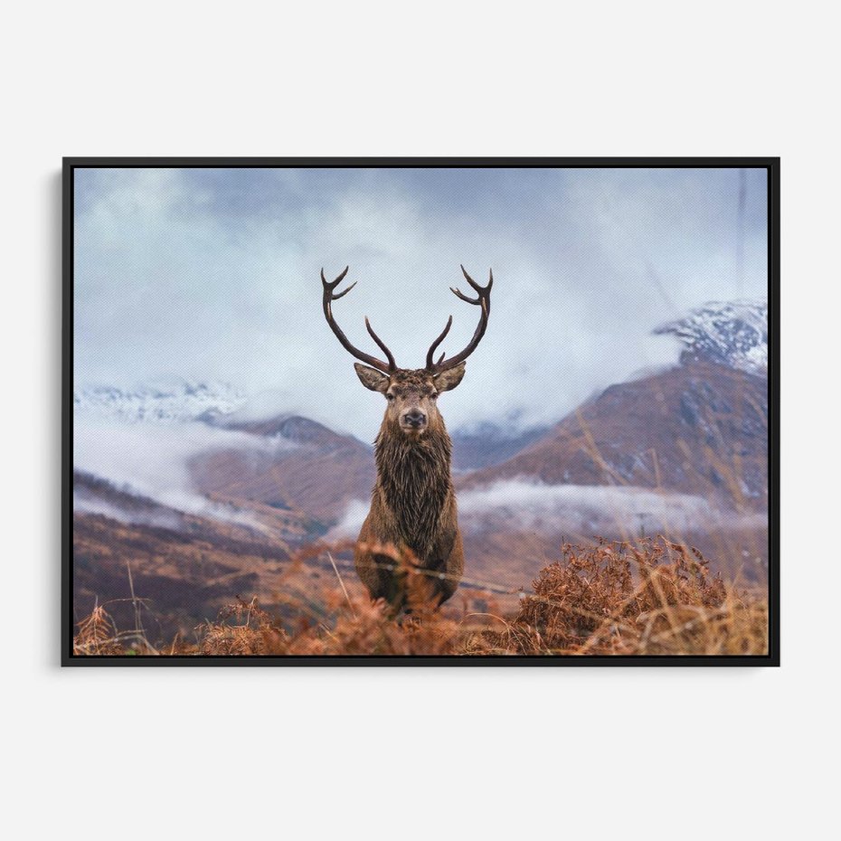 Obraz w ramie 100x70 - Jeleń w Uśpionym Krajobrazie - jeleń na tle gór, ośnieżone góry - rama czarna
