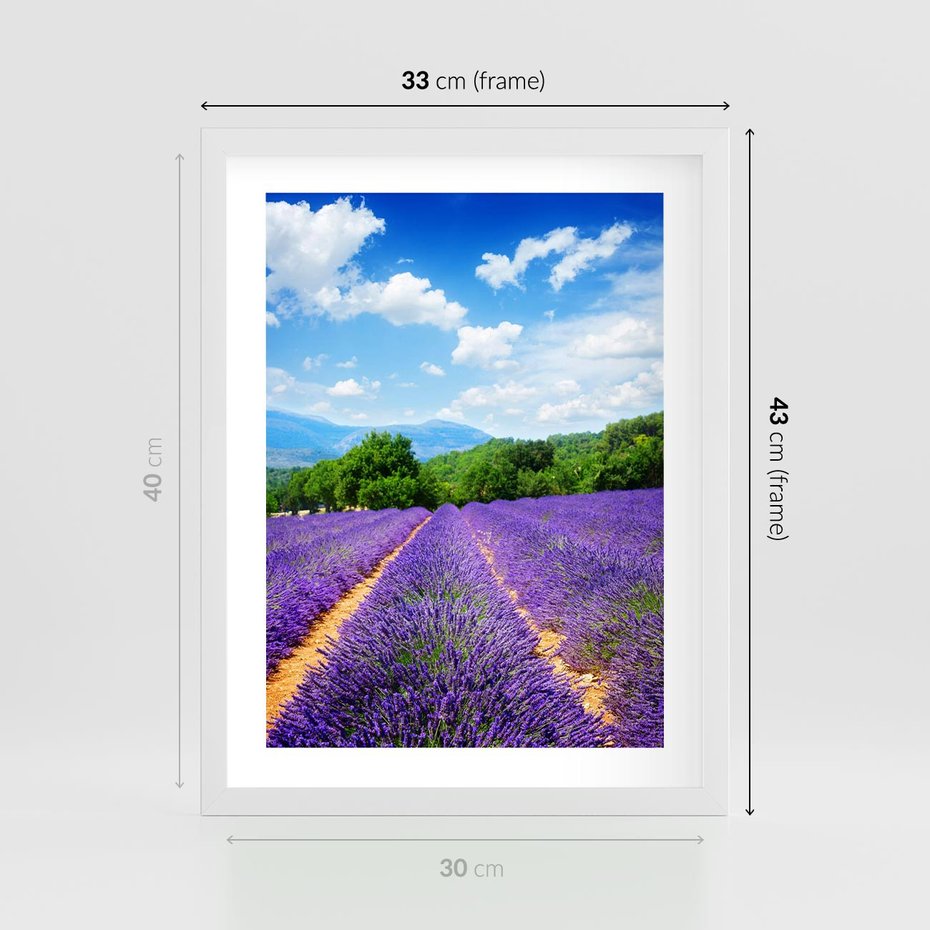 Plakat w ramie 30x40 - Prowansalska Lawenda - lawenda, prowansja - rama biała