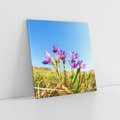 Obraz na płótnie 40x40 - Kwiatowa siła łąki - kwiaty, łąka