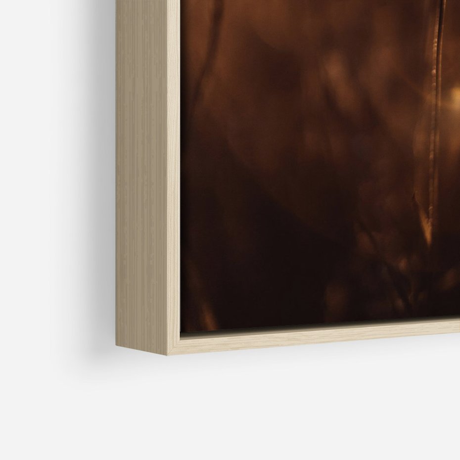 Obraz w ramie 70x100 - Spokój łąki pod zachodem słońca - zachód, słońca - rama drewno