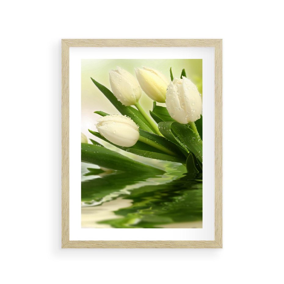 Plakat w ramie 30x40 - Białe Piękno - białe, tulipany - rama drewno