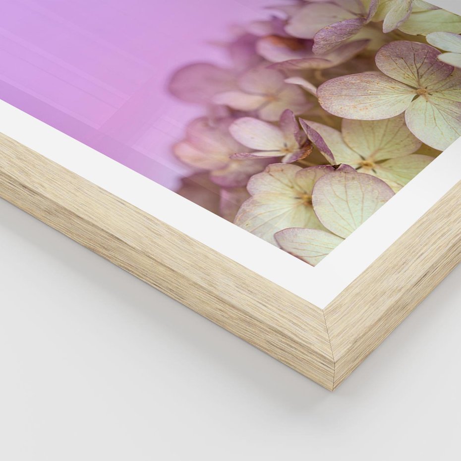 Plakat w ramie 30x40 - Kwiatowa Uroda - kwiaty, hortensje - rama drewno
