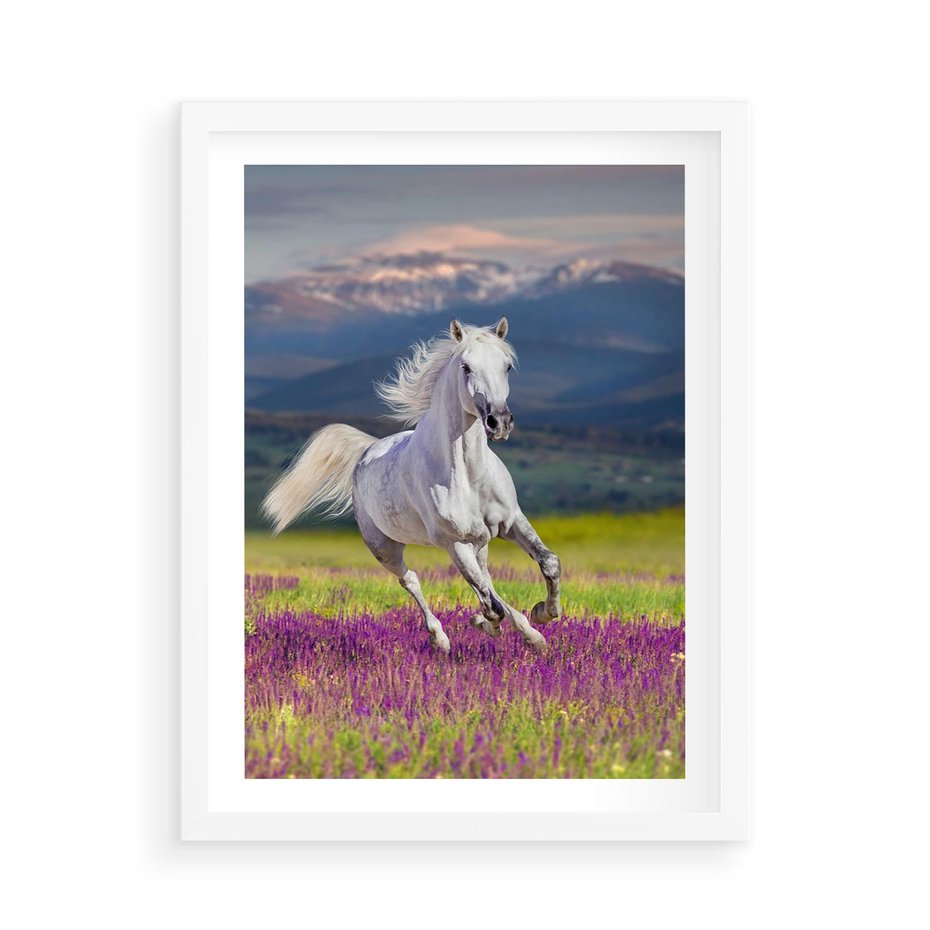 Plakat w ramie 50x70 - Koń Góry: Spotkanie z Wielką Przyrodą - koń, góry - rama biała