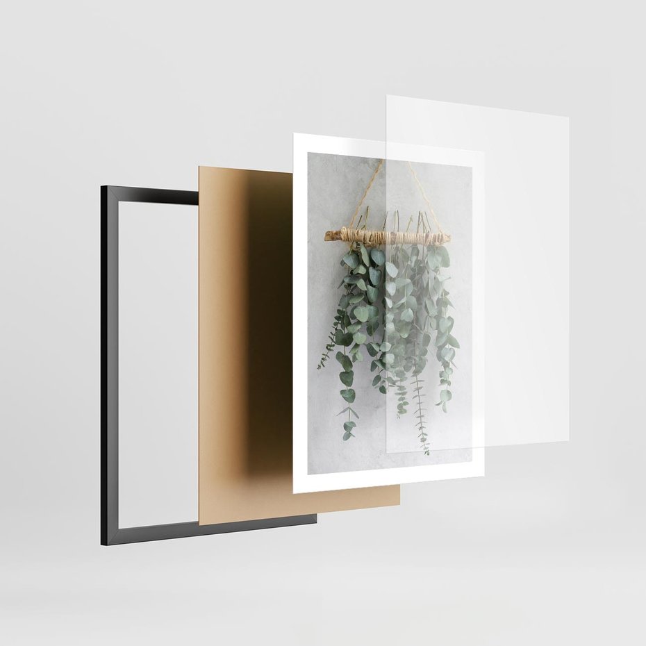 Plakat w ramie 50x70 - Uwodzicielska zieleń eukaliptusa - eukaliptus, zielone - rama czarna