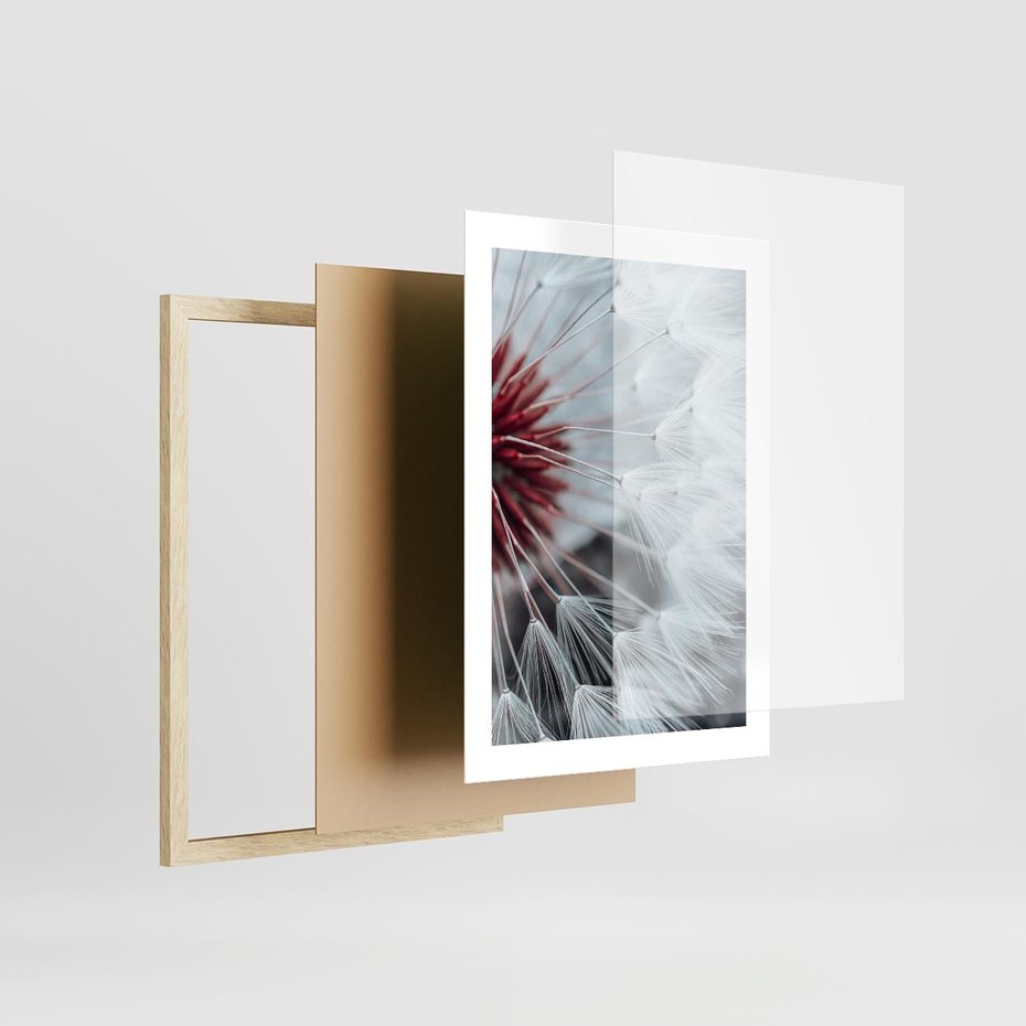 Plakat w ramie 30x40 - Makro świat dmuchawca - dmuchawiec, makro - rama drewno