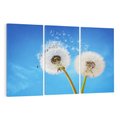 Obraz na płótnie 120x80 - wiatr pełen marzeń - dmuchawce, wiatr