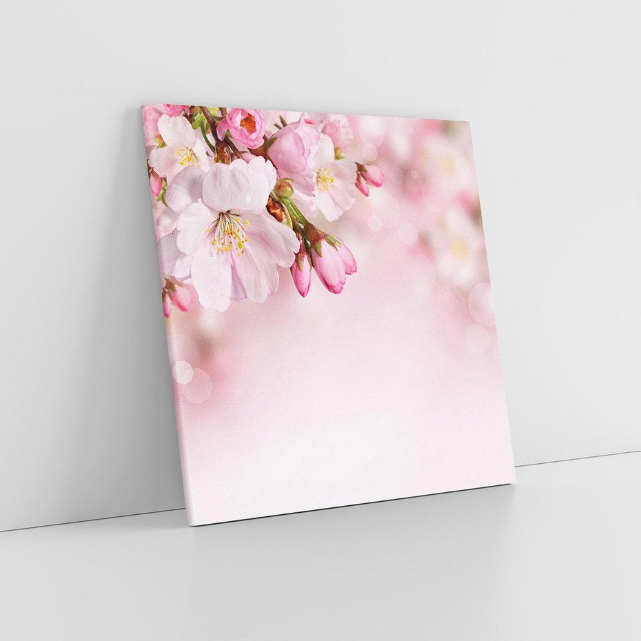 Obraz na płótnie 60x60 - Kwitnąca wiśnia: delikatność natury - kwitnąca, wiśnia