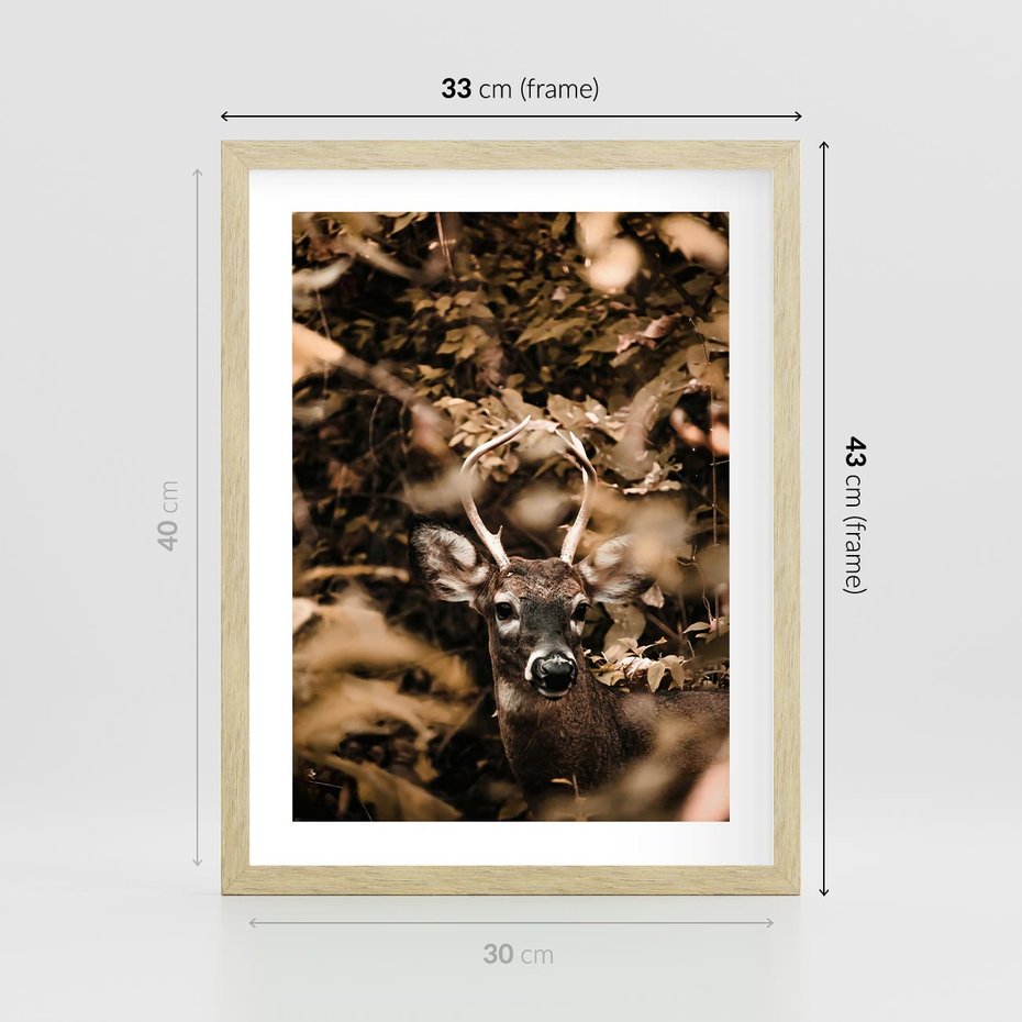 Plakat w ramie 30x40 - Jesienny Jeleń w Lesie - jeleń, w lesie - rama drewno
