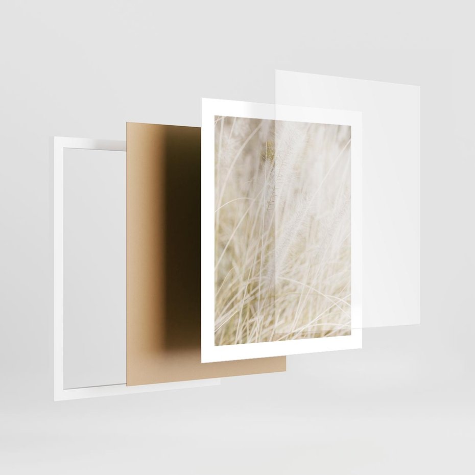 Plakat w ramie 40x50 - Białe Trawy Pampas - suche trawy, białe trawy - rama biała