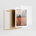 Plakat w ramie 40x50 - Jesienna Melancholia - suche trawy, jesień - rama drewno