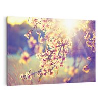 Obraz na płótnie 120x80 - Kwiatowa Wiosna - kwiaty, wiosna