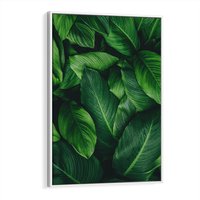 Obraz w ramie 80x120 - Palma Liście Kwiat - palma, liście - rama biała