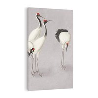 Obraz na płótnie 50x70 - Spojrzenie wstecz w pędzlu - szkic rysunek, japońskie żurawie
