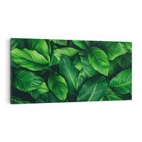 Obraz na płótnie 100x50 - Palma Liście Kwiat - palma, liście