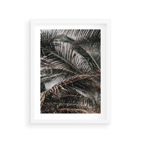 Plakat w ramie 40x50 - Liściaste Palmy - palmy, drzewa palmowe - rama biała