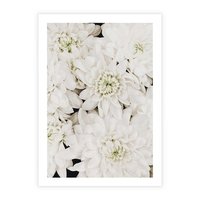 Plakat bez ramy 40x50 - Białe Kwiaty: Płatki Delikatności - białe kwiaty, zbliżenie