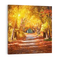 Obraz na płótnie 60x60 - Jesienna Droga: Przechadzka wśród Drzew - jesień, droga
