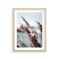 Plakat w ramie 40x50 - Zima na Suchych Trawach - suche trawy, śnieg wysokich na trawach - rama drewno