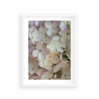 Plakat w ramie 40x50 - Kwiatowy taniec - kwiaty, hortensje - rama biała