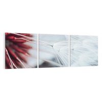 Obraz na płótnie 90x30 - Makro świat dmuchawca - dmuchawiec, makro