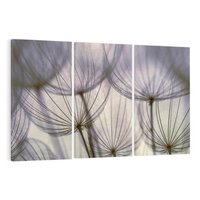 Obraz na płótnie 120x80 - Makro dmuchawiec - piękno drobnych detali - dmuchawce, makro